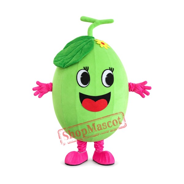 Melon Mascot Costume Melon Mascot Costume