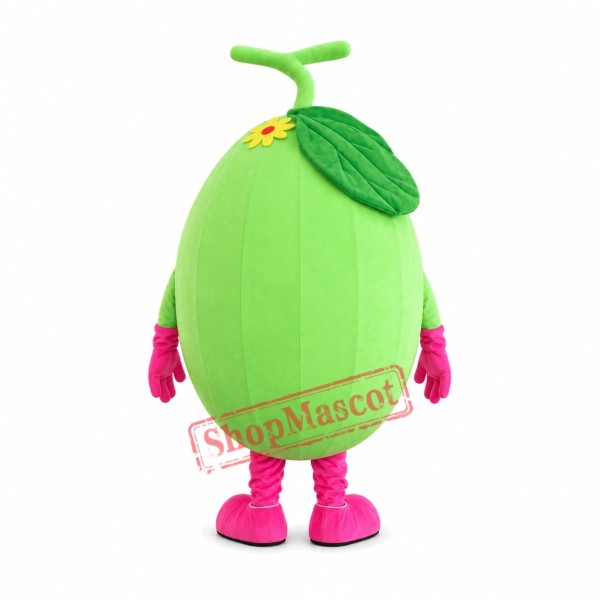 Melon Mascot Costume Melon Mascot Costume