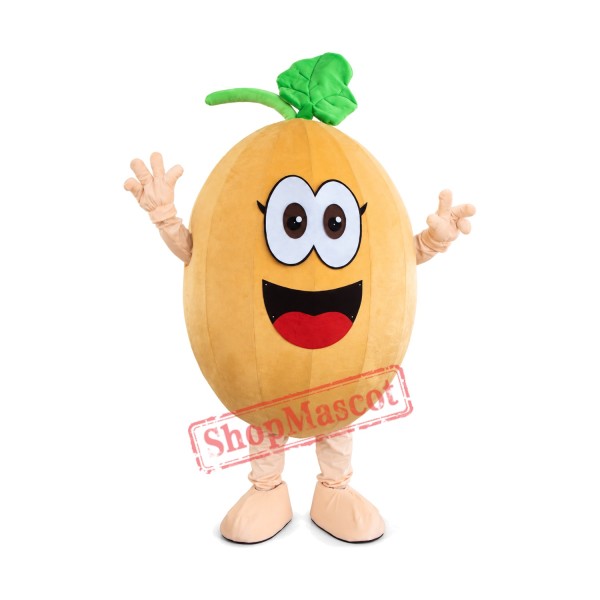 Cantaloupe Mascot Costume