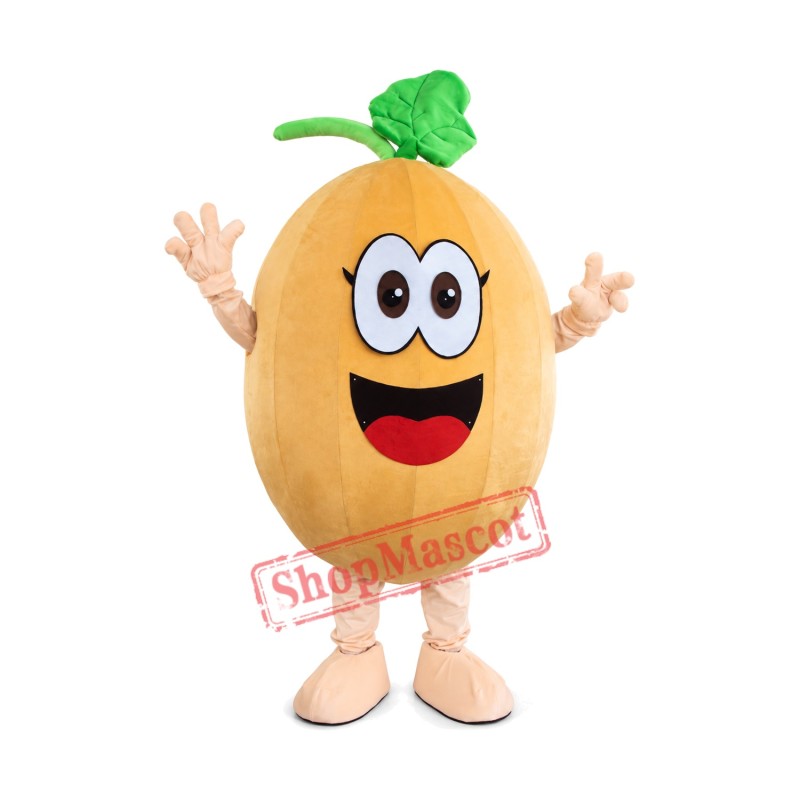 Cantaloupe Mascot Costume Cantaloupe Mascot Costume