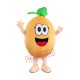 Cantaloupe Mascot Costume Cantaloupe Mascot Costume