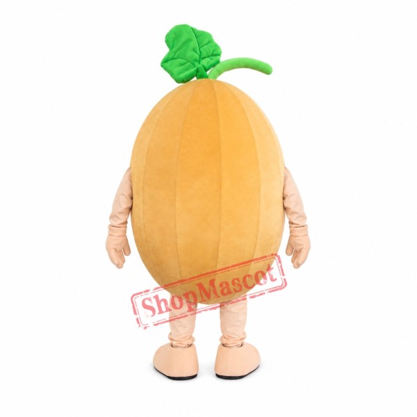 Cantaloupe Mascot Costume Cantaloupe Mascot Costume