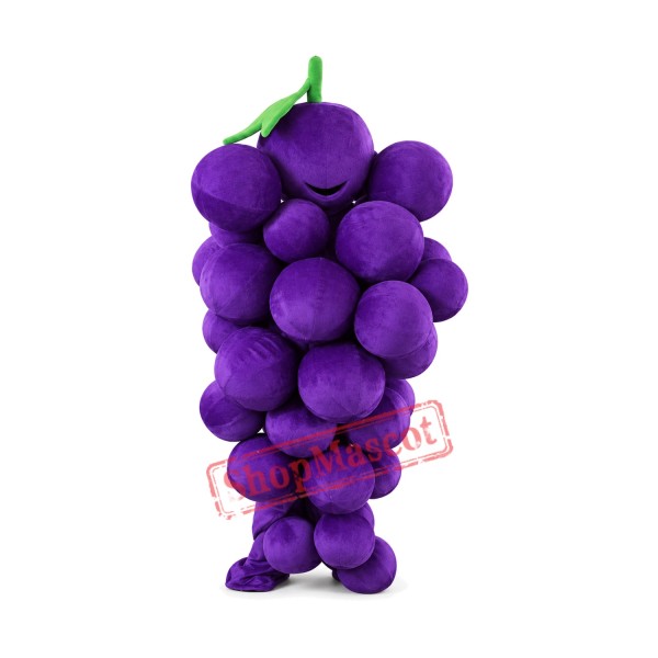 Grape Mascot Costume Grape Mascot Costume