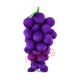 Grape Mascot Costume Grape Mascot Costume