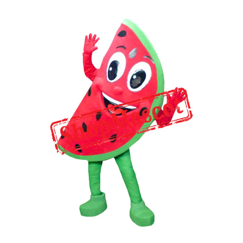 Watermelon Mascot Costume