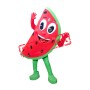 Watermelon Mascot Costume