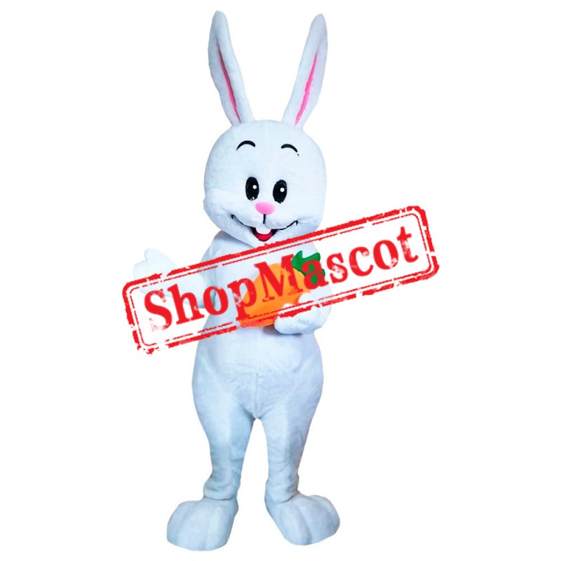 Bunny With Carrot Mascot Costume