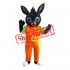Bing Mascot Costume