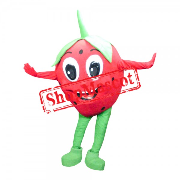 Strawberry Mascot Costume