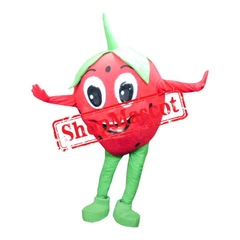 Strawberry Mascot Costume