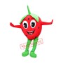 Strawberry Mascot Costume