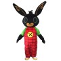 Cartoon Bunny Mascot Costume Bing Rabbit Mascot Costume