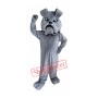 Grey Bulldog Mascot Costumes Free Shipping