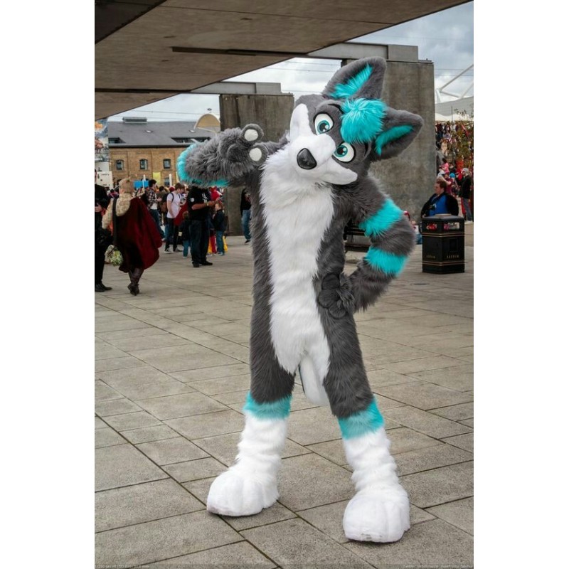 Gray & Blue Husky Mascot Costume Free Shipping