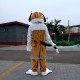 St. Bernard Dog Doctor Dog Mascot Costume