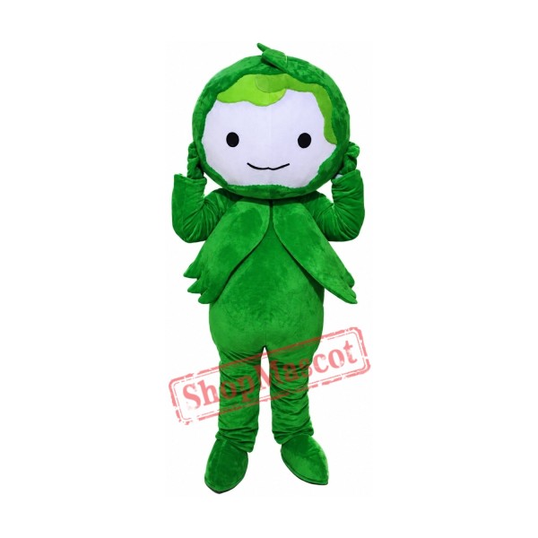 Green Cabbage Mascot Costumes Free Shipping