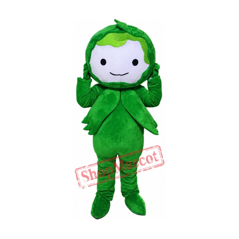 Green Cabbage Mascot Costumes Free Shipping Green Cabbage Mascot Costumes Free Shipping