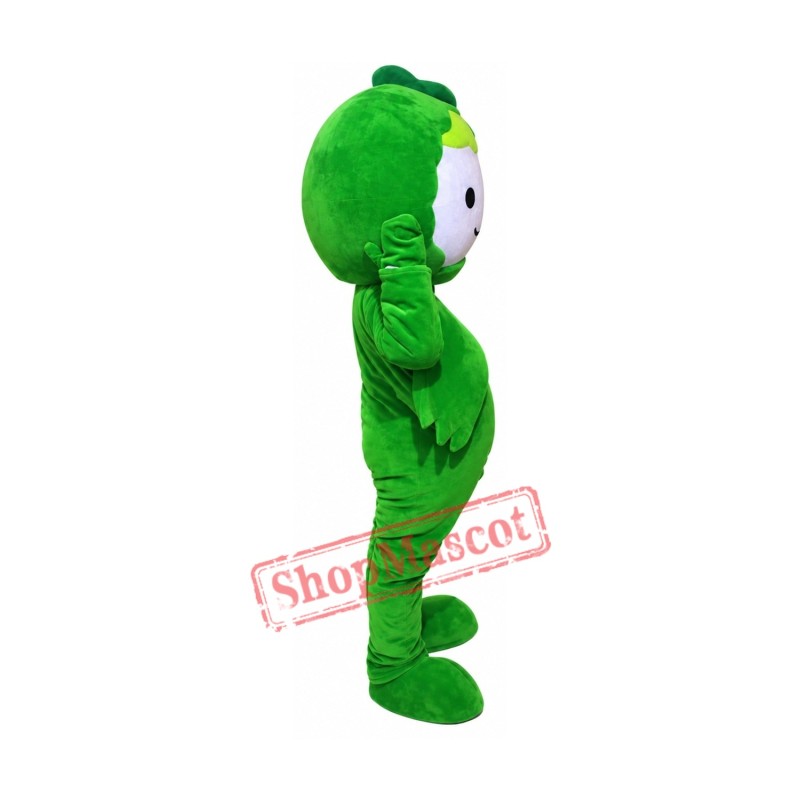 Green Cabbage Mascot Costumes Free Shipping Green Cabbage Mascot Costumes Free Shipping